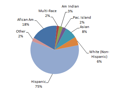 how many different ethnicities are there in the world
